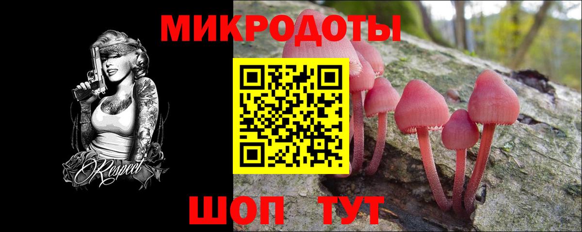 Псилоцибиновые грибы Psilocybine cubensis  Вход с VPN  Галлюциногенные грибы Psilocybe  цена наркотик  Новочеркасск 