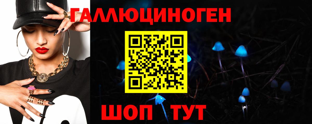 Псилоцибиновые грибы Cubensis Новочеркасск